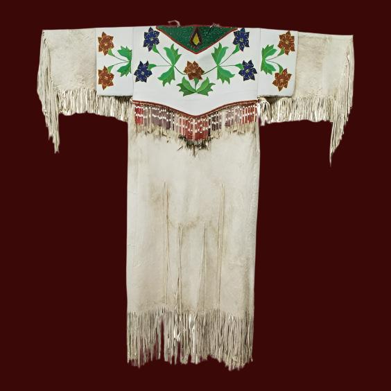 Native American Woman's Handmade Beaded Yoke Dress Powwow Regalia PWD1030